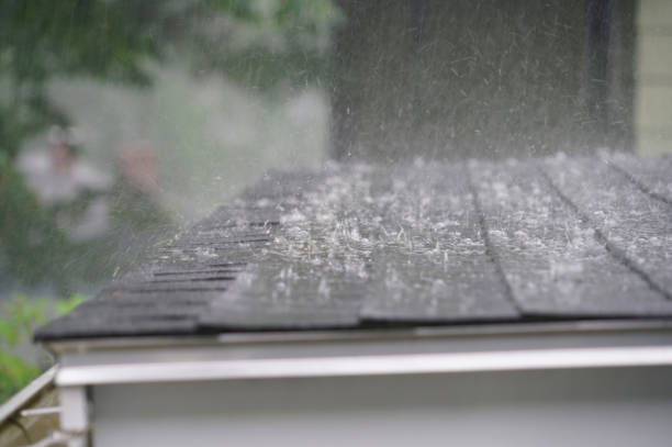 Best Roof Leak Repair  in Jamestown, NY